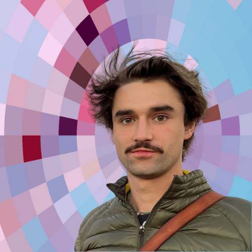 Robin llibasic